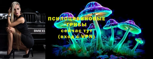 ECSTASY Алексин