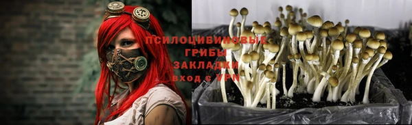 ECSTASY Алексин